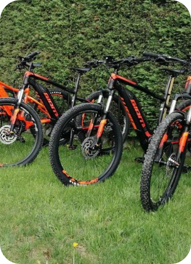 Negozio di bici a Vignola