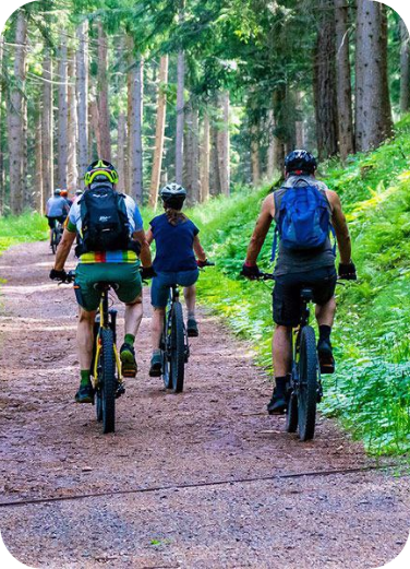 Negozio di bici a Vignola