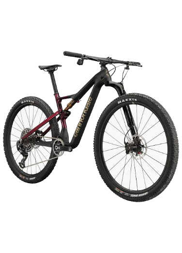 Negozio di bici a Vignola